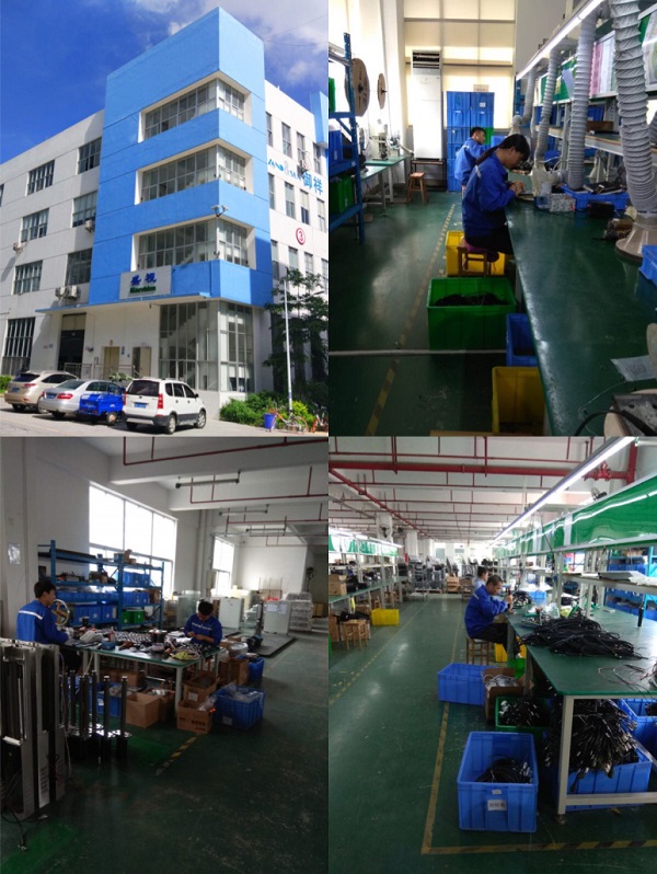 2019大年初一，云顶(中国)yunding·官方网页版,保障春节口岸通关工作