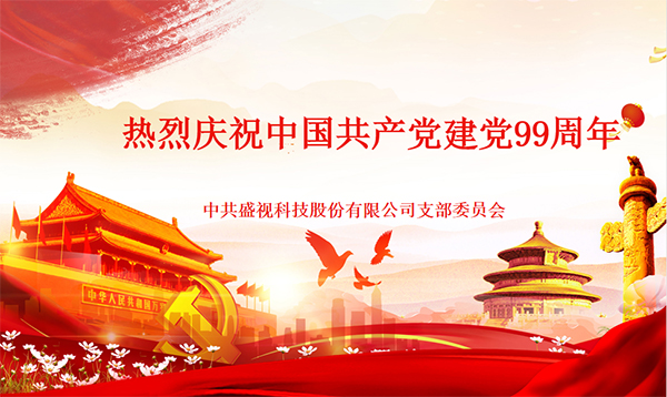 盛视党建动态|云顶(中国)yunding·官方网页版,党组织开展庆祝建党99周年主题党日活动